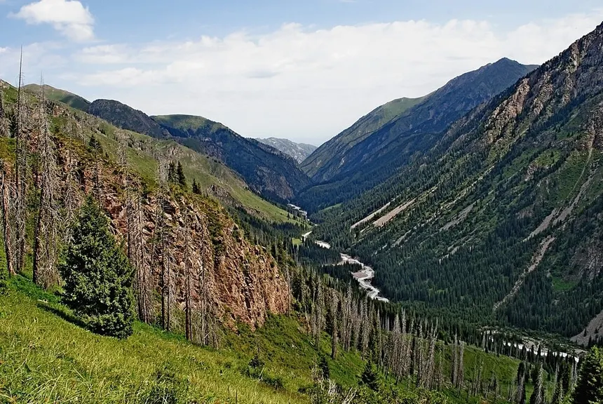 77_img_2636