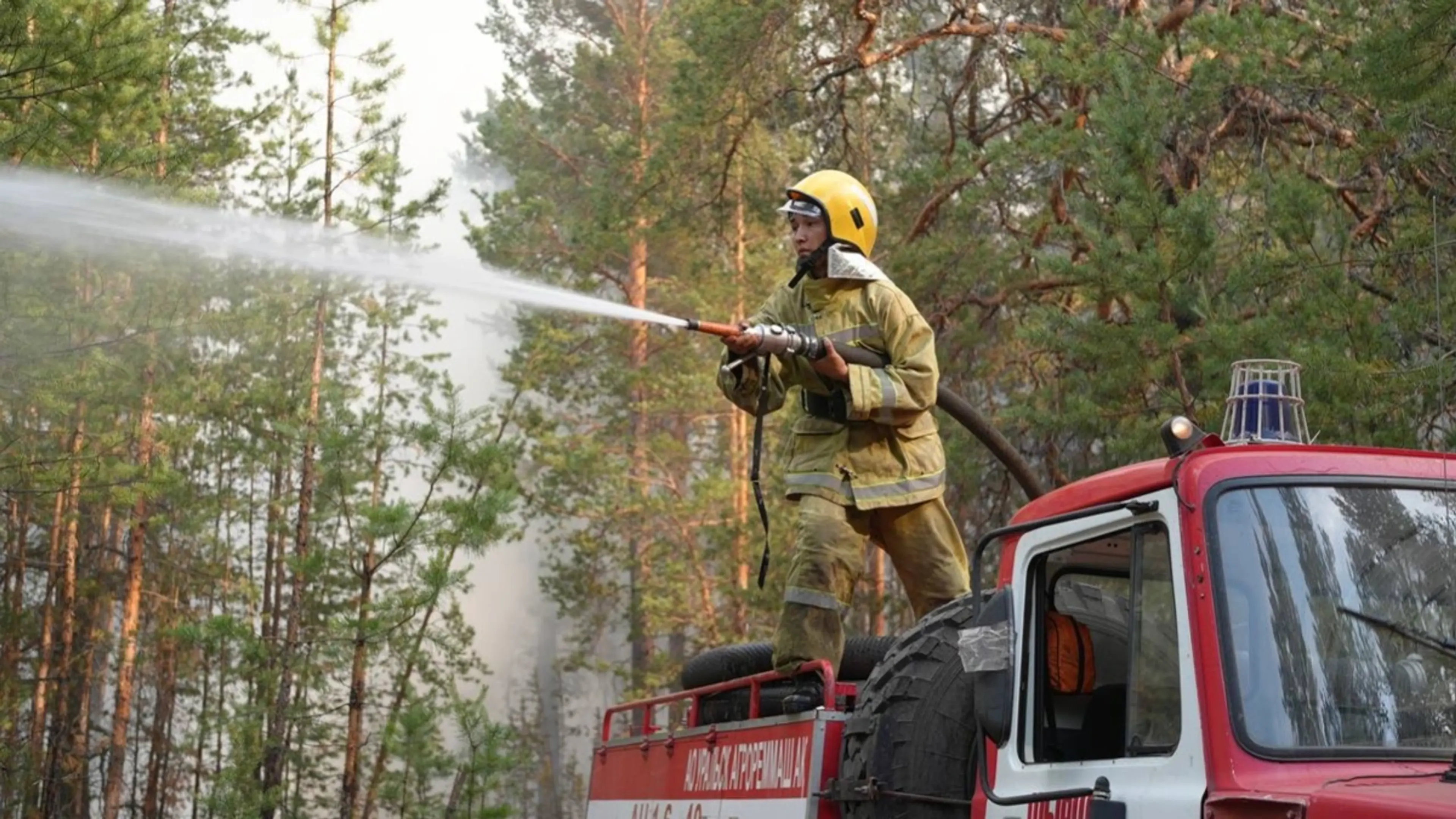 Қазақстанда үш орман өрті сөндірілді