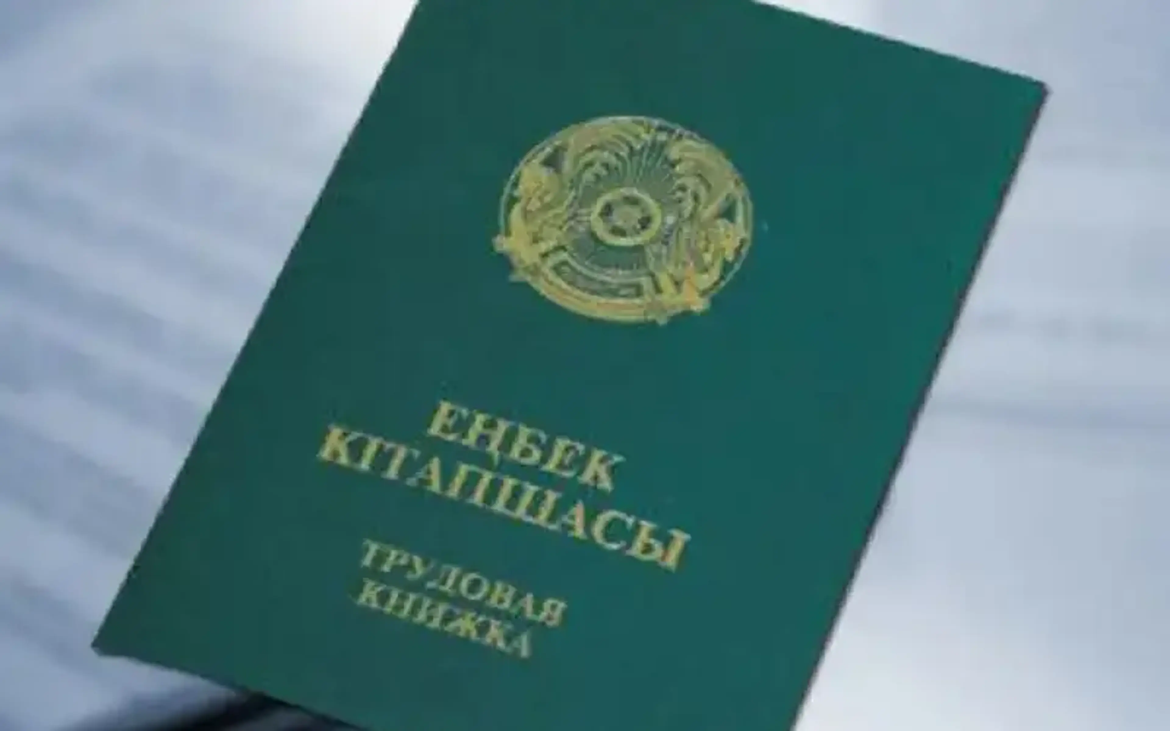 Как исправить ошибки в трудовой книжке, объяснили в Астане