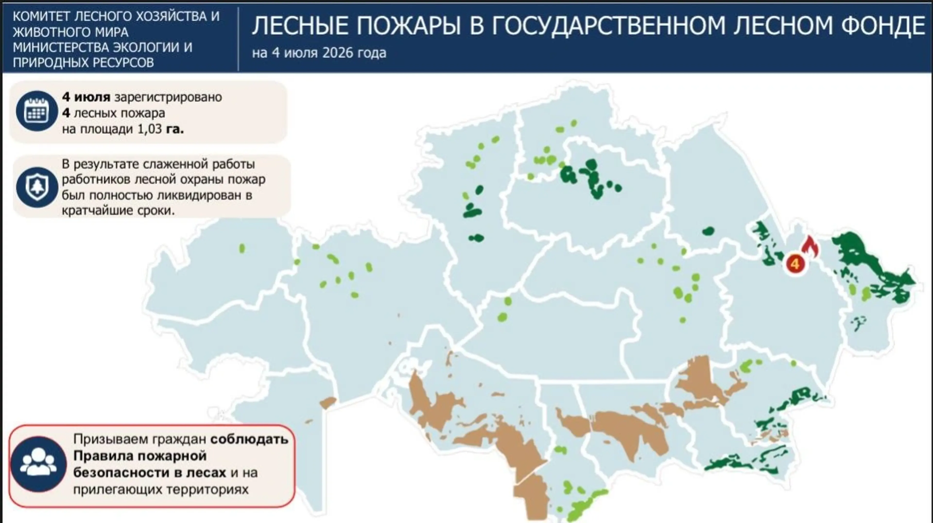 Четыре лесных пожара потушили за день в «Семей орманы»