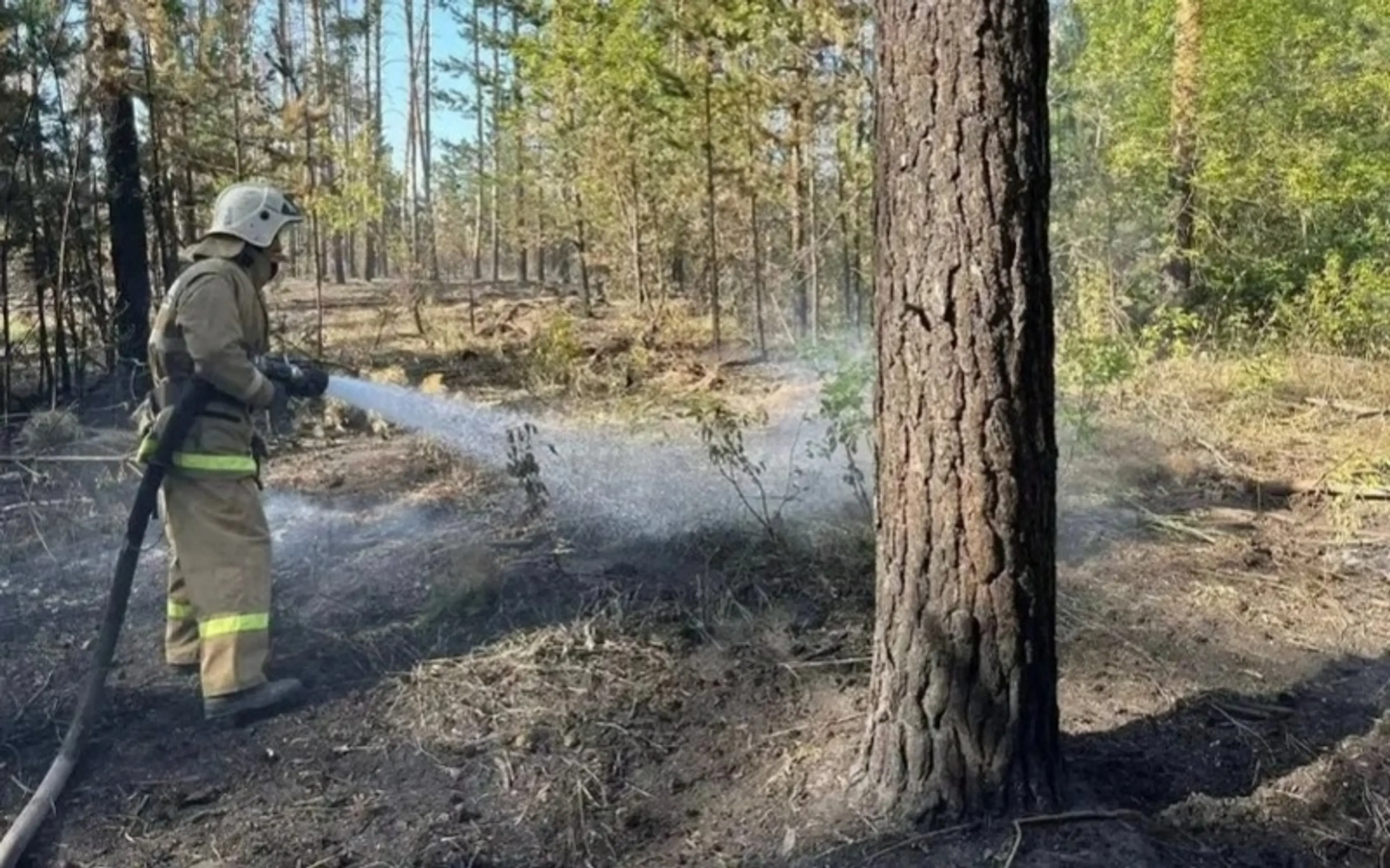 Қазақстанда тәулік ішінде бес орман өрті сөндірілді