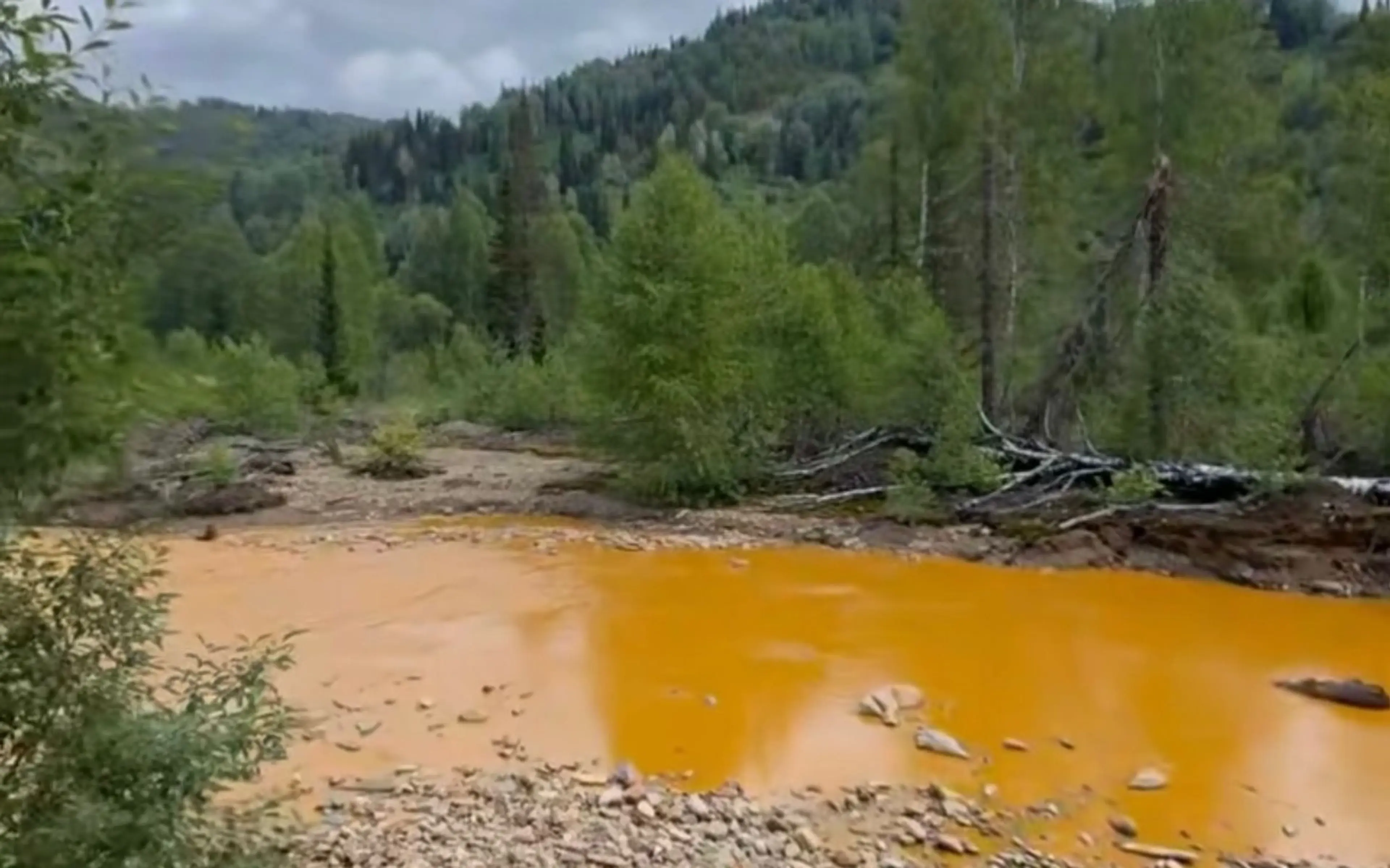 Экологи взяли пробы воды из оранжевой реки в ВКО