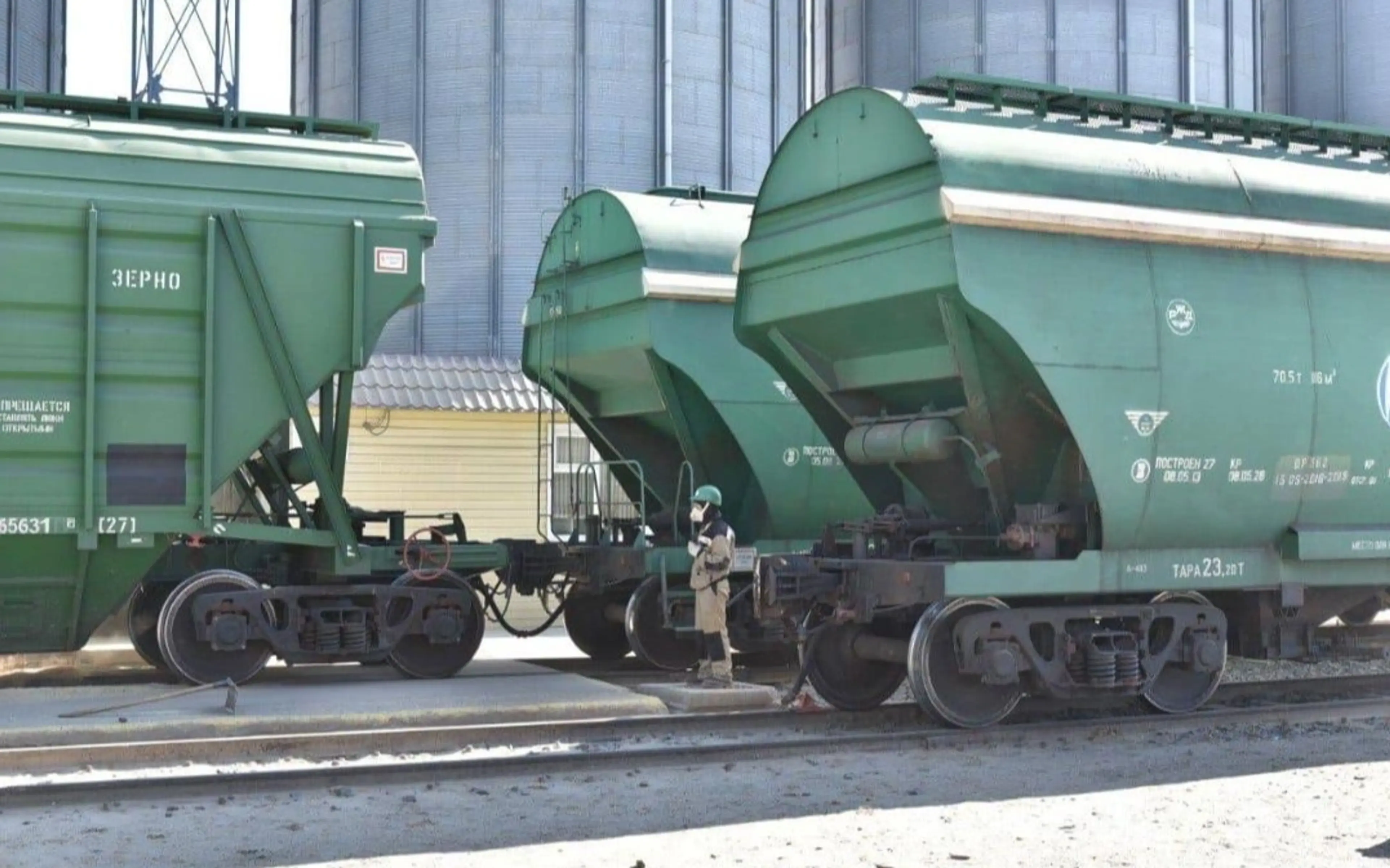 Қазақстаннан астық пен ұн экспорты 16%-ға өсті
