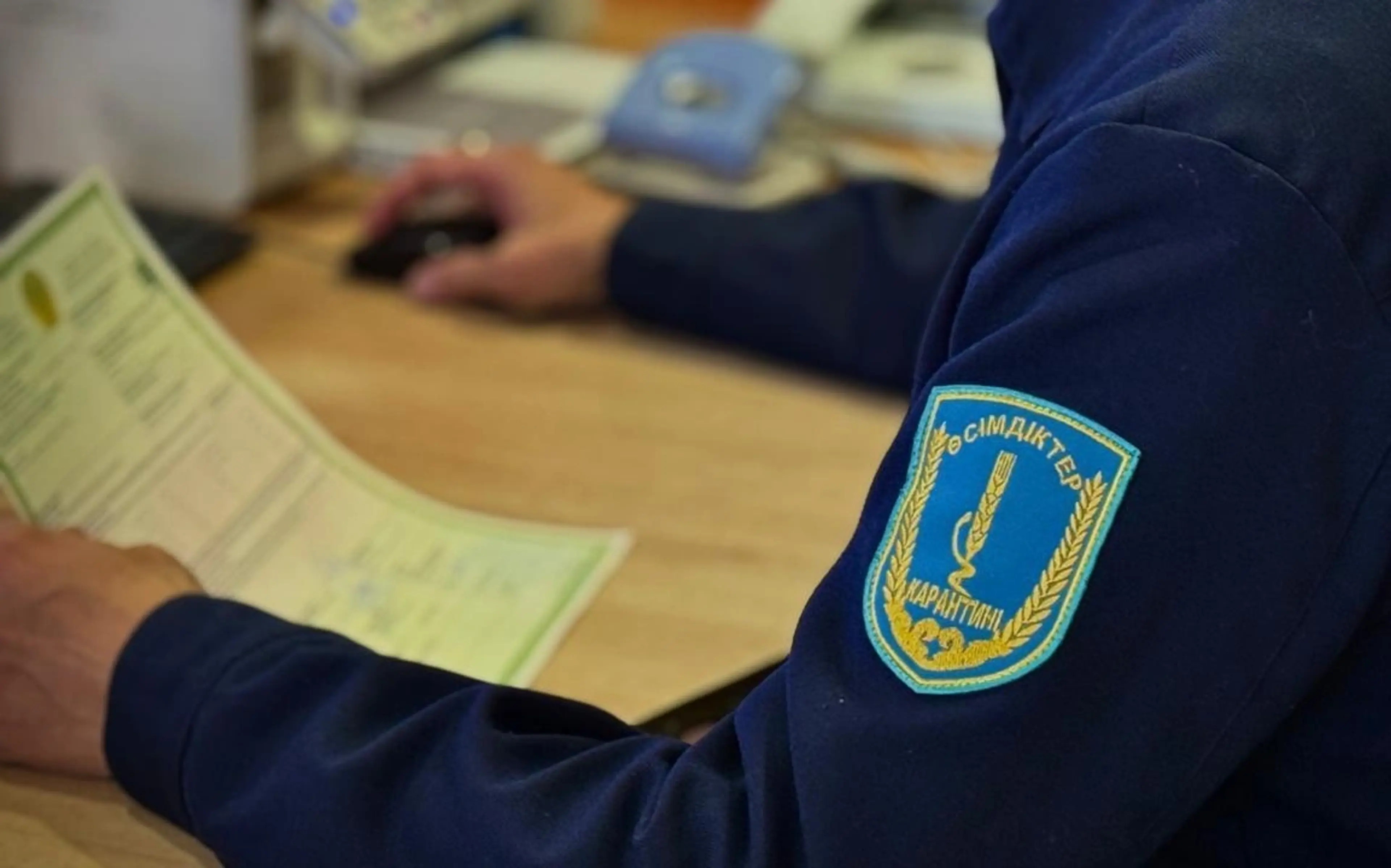 «Нұр Жолы» постында Қытайдан өнім әкелу кезінде жеті бұзушылықтың алдын алды