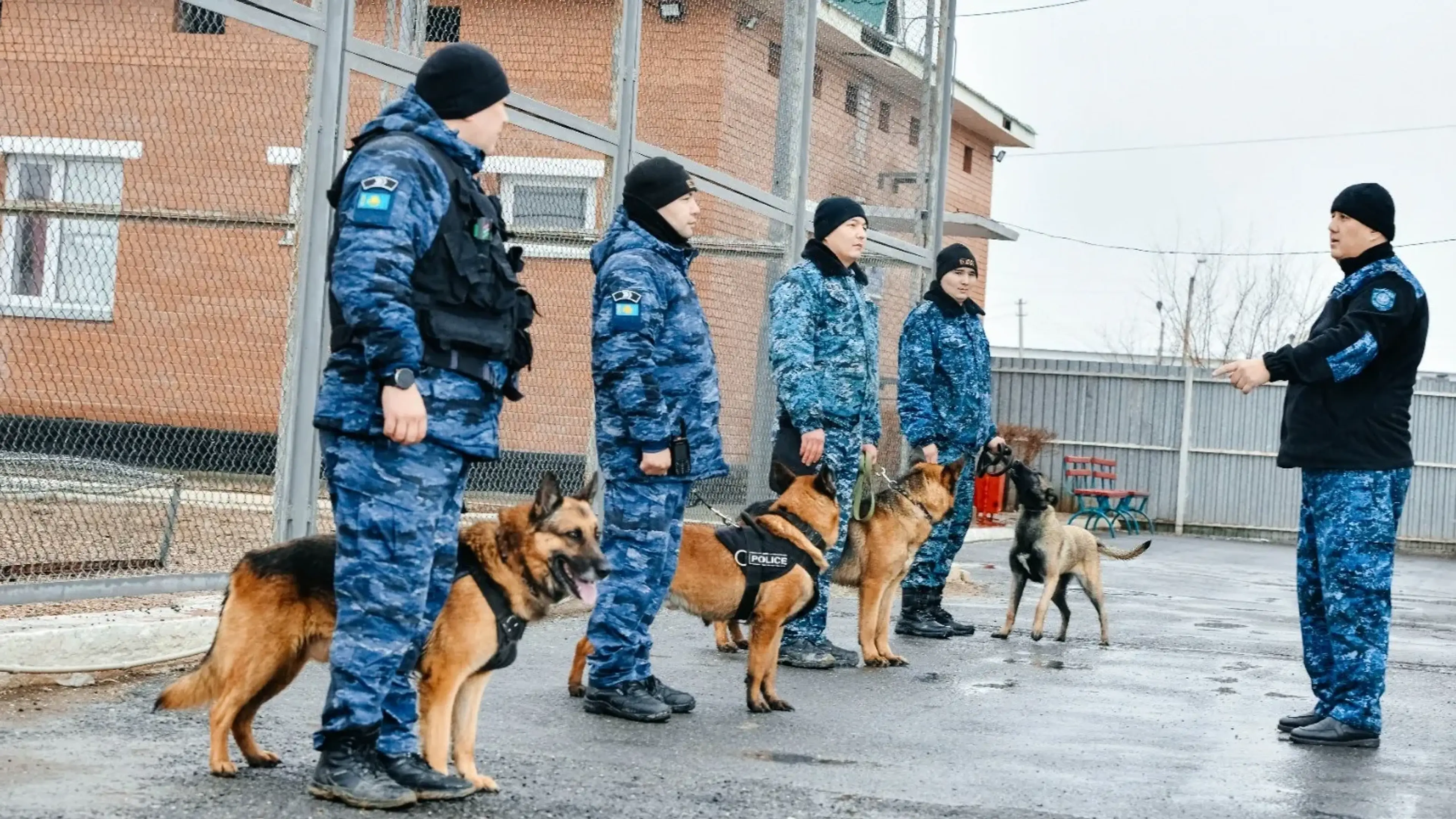 Қызылорда облысында қылмыстық құқық бұзушылықтар саны азайды