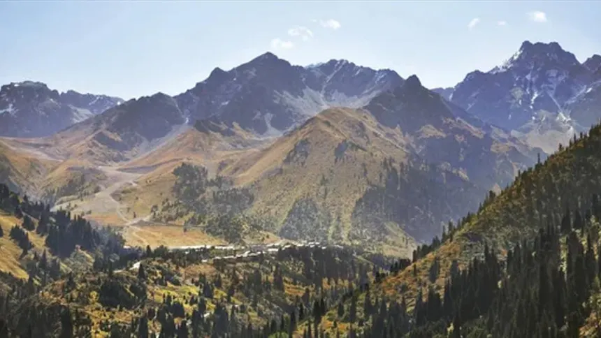 pictures-originals-2014-Nature___Mountains_____Snowy_mountains_and_trees_086556_.jpg