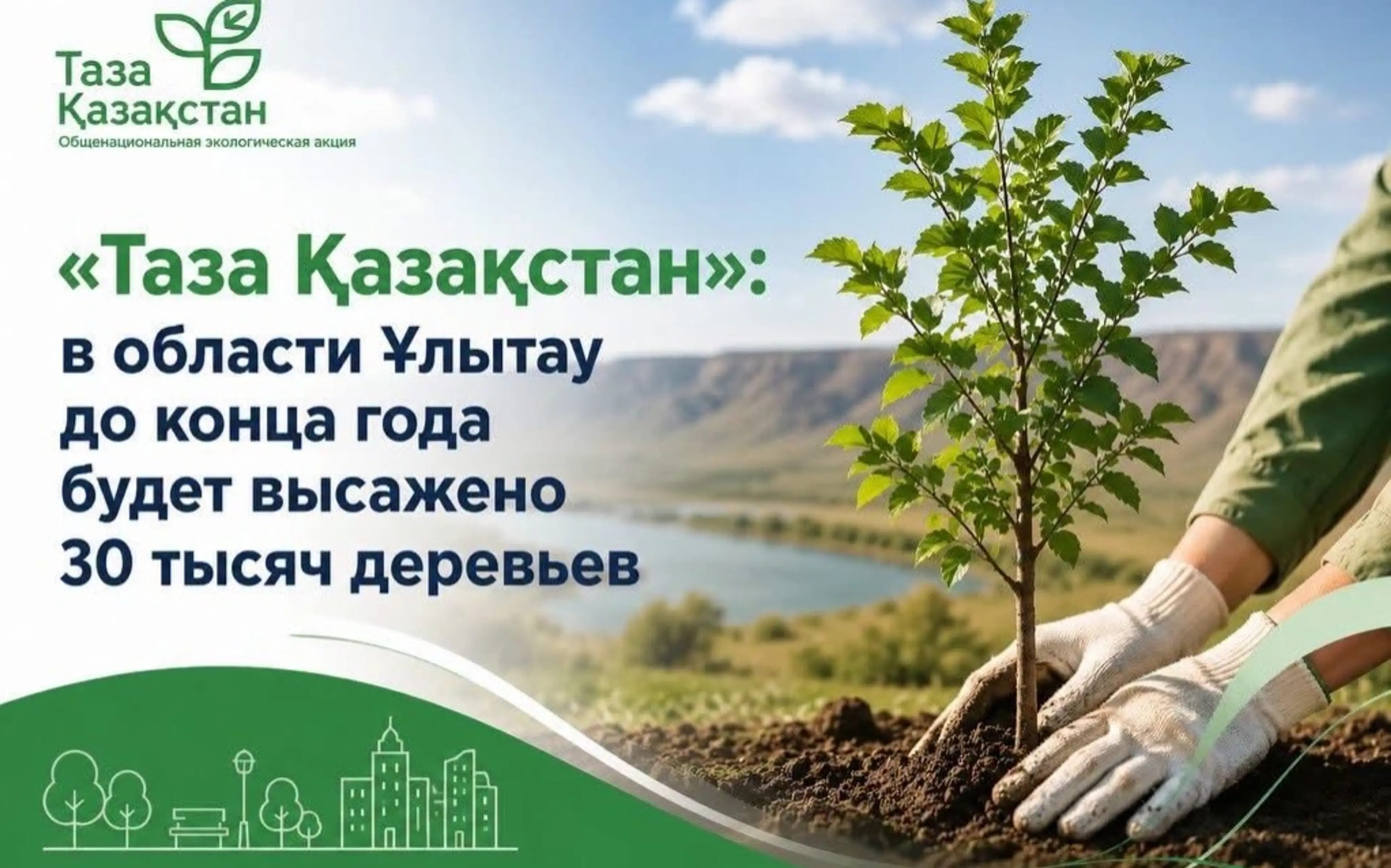В Улытау высадят 30 тысяч деревьев до конца года