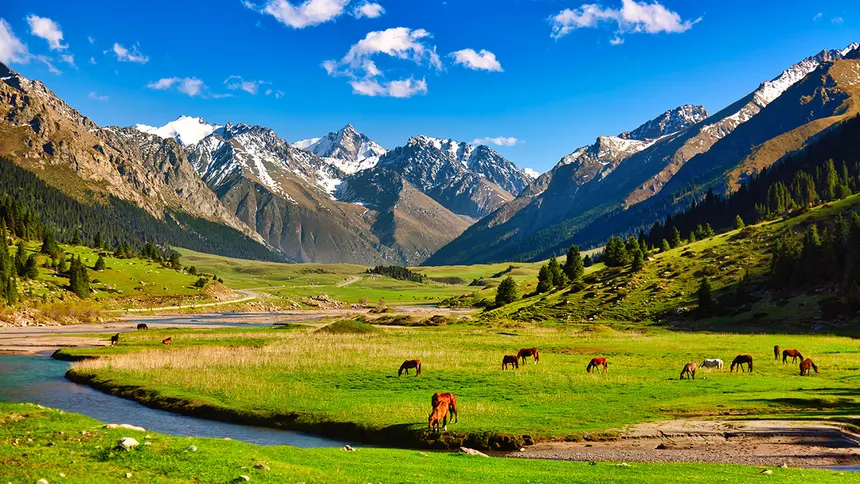 tien-shan