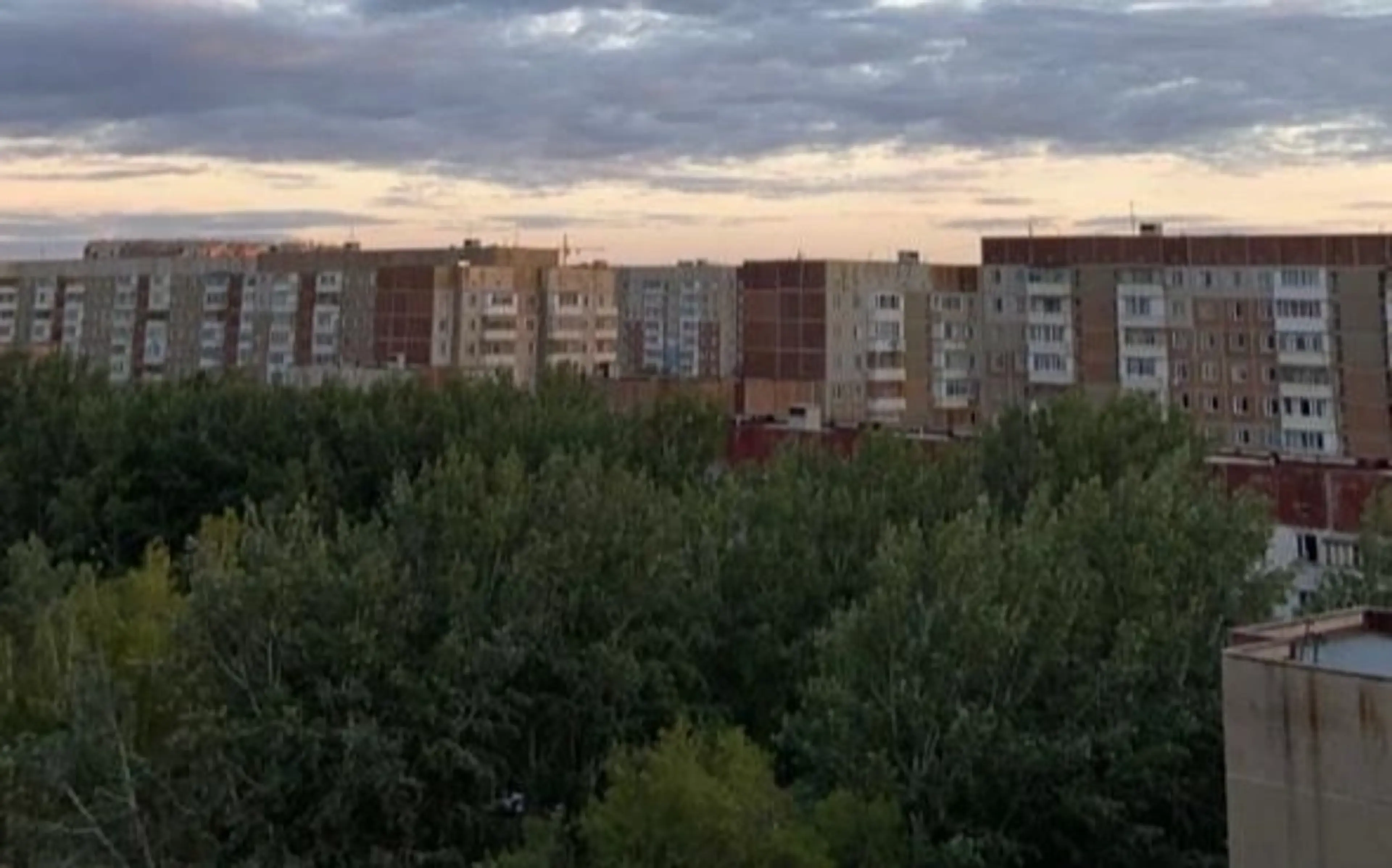 Суд отклонил иск акимата Караганды к судебным исполнителям по делу о посадке деревьев