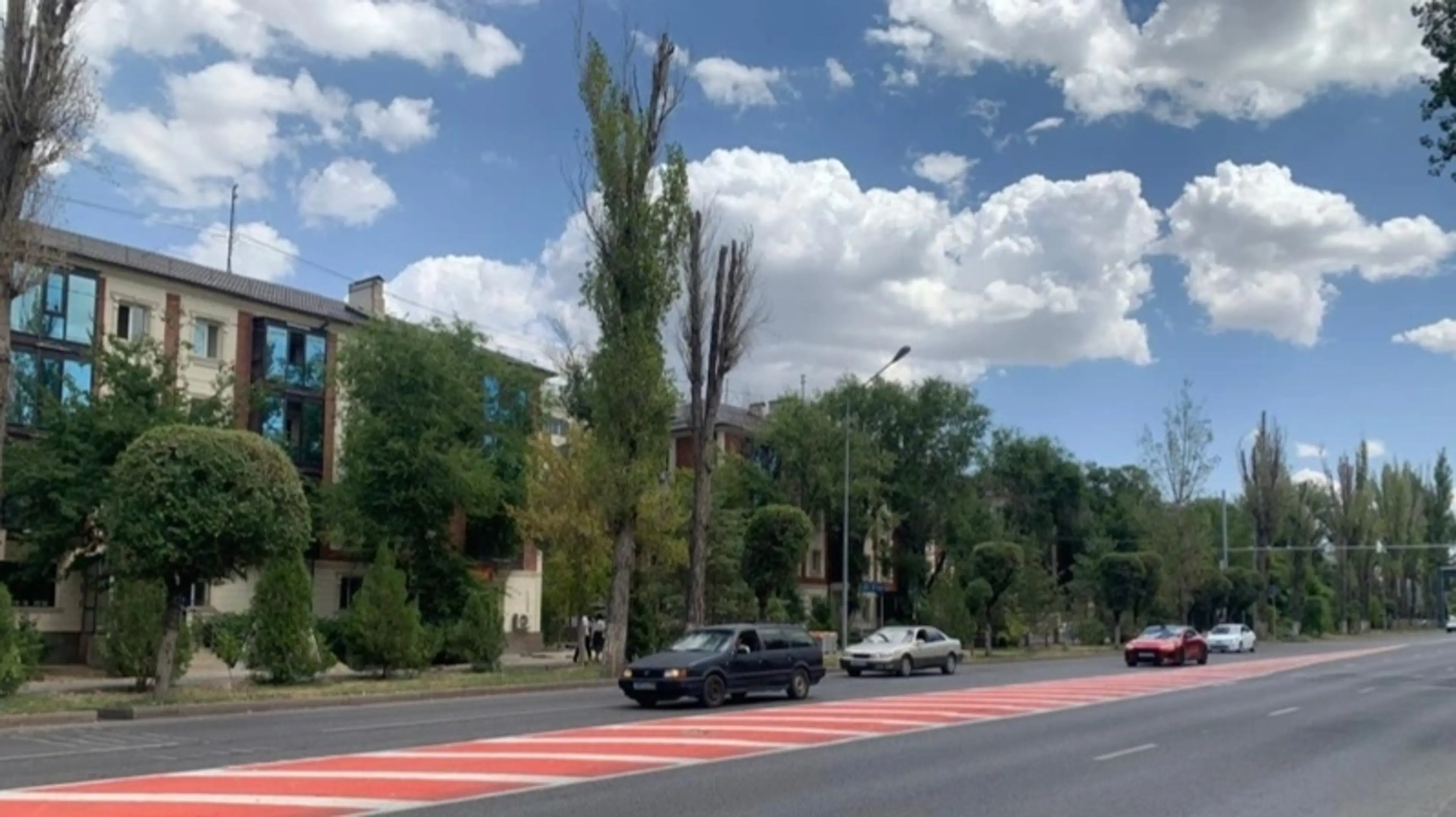 В Таразе после встречи с жителями решили спилить 27 тополей