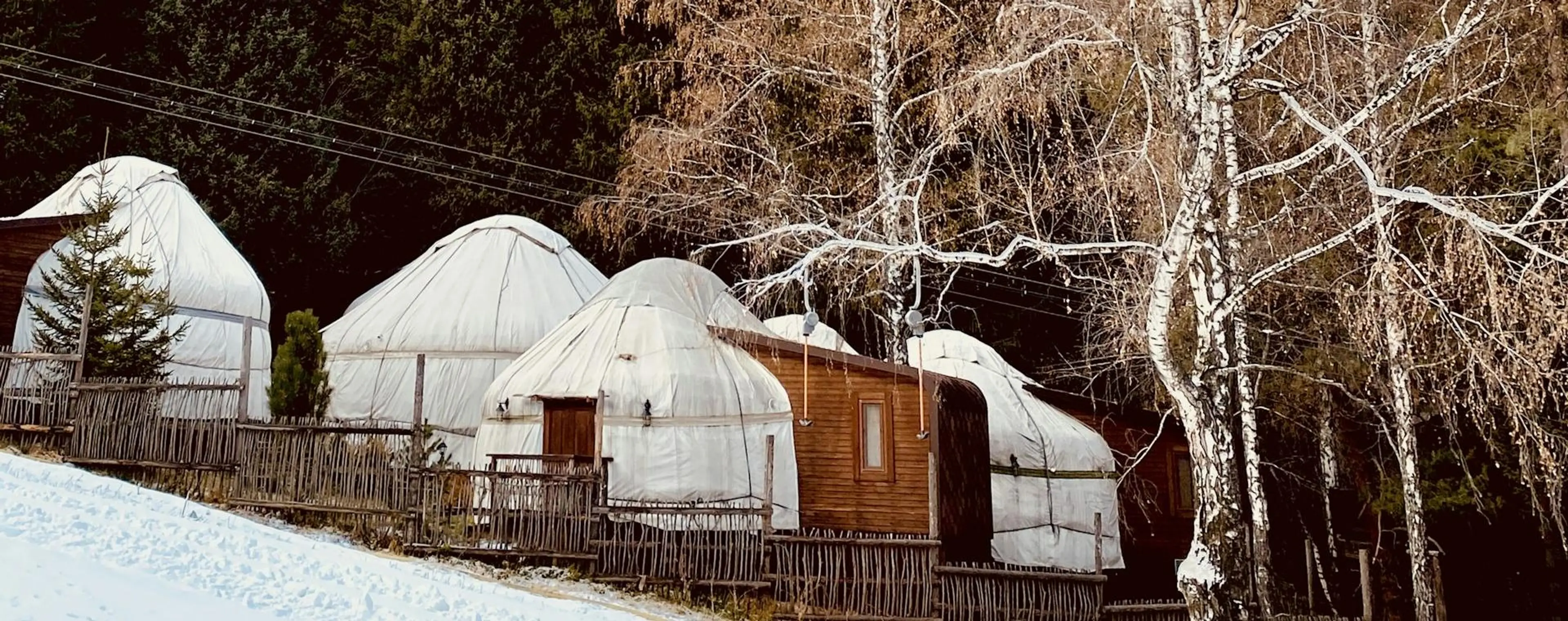 Культура